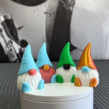Cute Gnomes